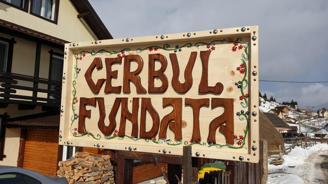 Villa Casa Cerbul à Fundata Extérieur photo
